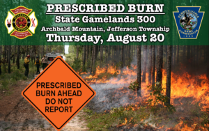 Prescribed Burn Planned for Archbald Mountain